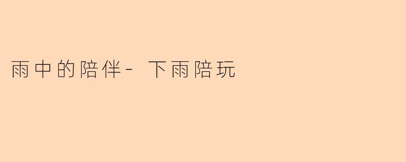 雨中的陪伴