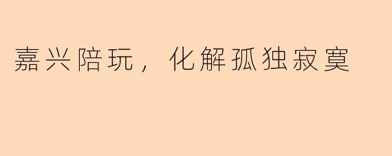 嘉兴陪玩，化解孤独寂寞
