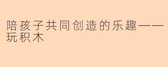 陪孩子共同创造的乐趣——玩积木