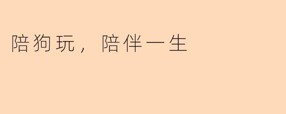 陪狗玩，陪伴一生