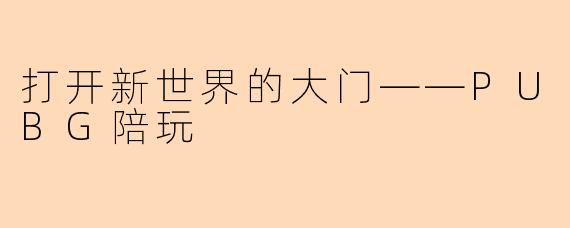 打开新世界的大门——PUBG陪玩