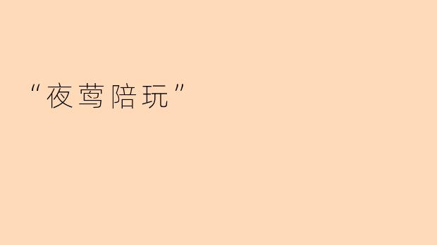 “夜莺陪玩”