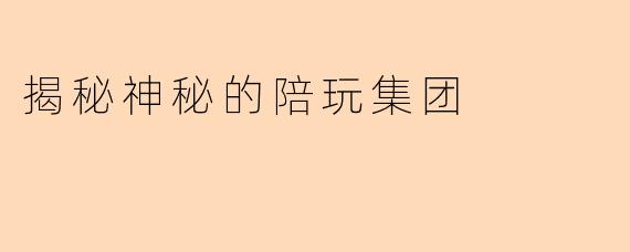 揭秘神秘的陪玩集团