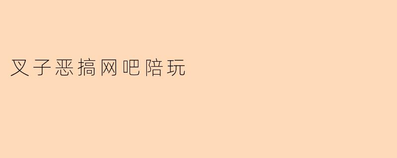 叉子恶搞网吧陪玩