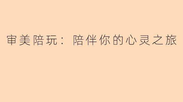 审美陪玩：陪伴你的心灵之旅