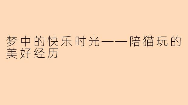 梦中的快乐时光——陪猫玩的美好经历