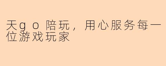 天go陪玩，用心服务每一位游戏玩家