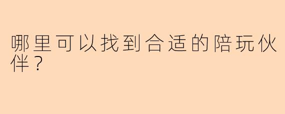 哪里可以找到合适的陪玩伙伴？