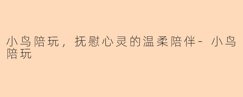 小鸟陪玩，抚慰心灵的温柔陪伴-小鸟陪玩