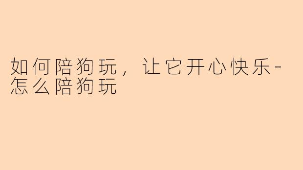 如何陪狗玩，让它开心快乐-怎么陪狗玩