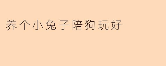 养个小兔子陪狗玩好