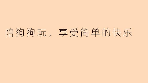 陪狗狗玩，享受简单的快乐