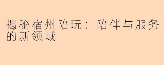揭秘宿州陪玩：陪伴与服务的新领域