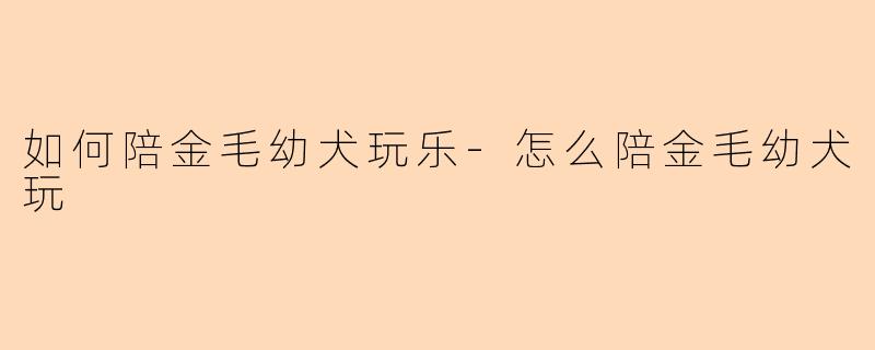 如何陪金毛幼犬玩乐-怎么陪金毛幼犬玩