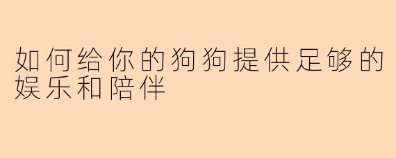 如何给你的狗狗提供足够的娱乐和陪伴