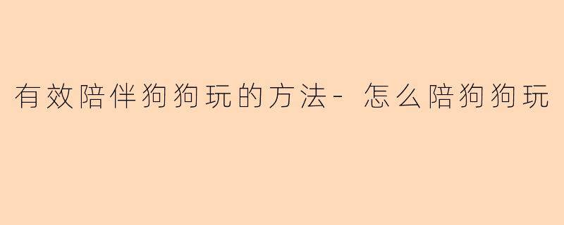 有效陪伴狗狗玩的方法-怎么陪狗狗玩