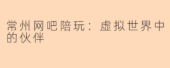 常州网吧陪玩：虚拟世界中的伙伴