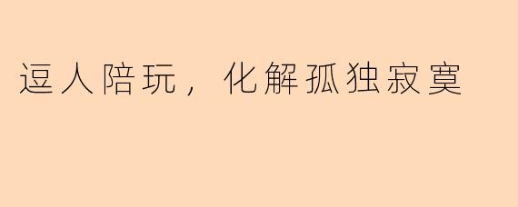 逗人陪玩，化解孤独寂寞
