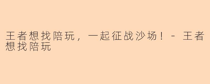 王者想找陪玩，一起征战沙场！-王者想找陪玩