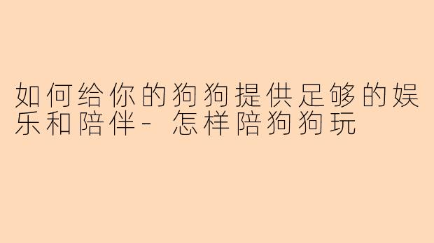如何给你的狗狗提供足够的娱乐和陪伴-怎样陪狗狗玩
