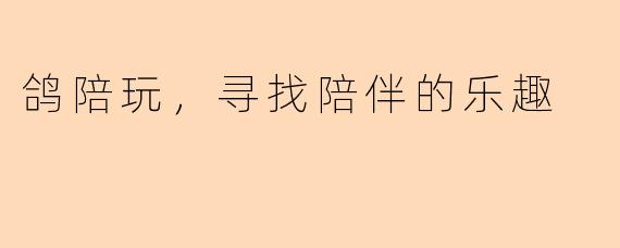 鸽陪玩，寻找陪伴的乐趣