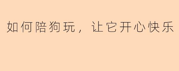 如何陪狗玩，让它开心快乐