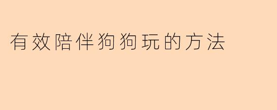 有效陪伴狗狗玩的方法