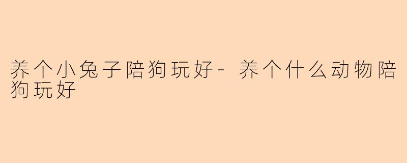 养个小兔子陪狗玩好-养个什么动物陪狗玩好
