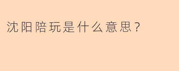 沈阳陪玩是什么意思？