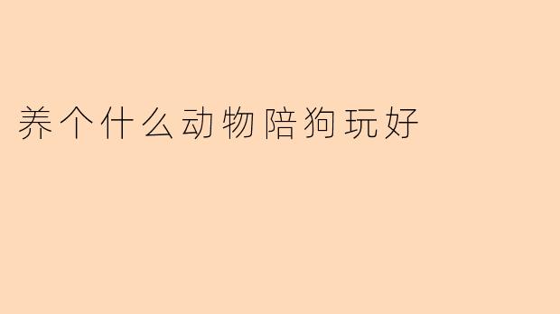 养个小兔子陪狗玩好