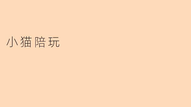 小猫陪玩