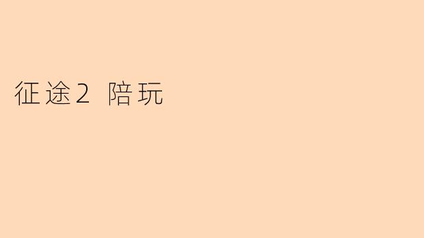 征途2陪玩