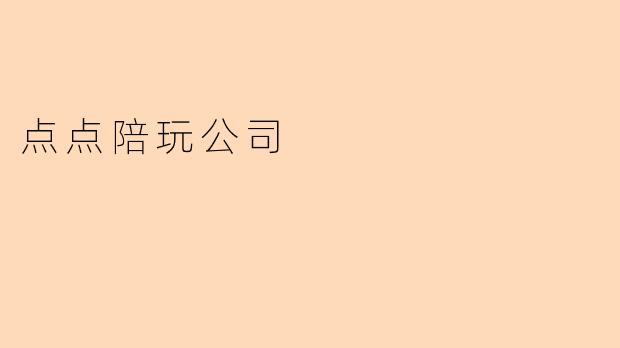 点点陪玩公司