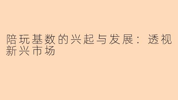 陪玩基数的兴起与发展：透视新兴市场