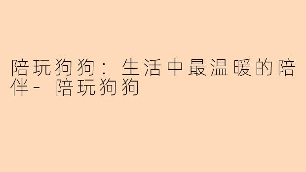 陪玩狗狗：生活中最温暖的陪伴-陪玩狗狗