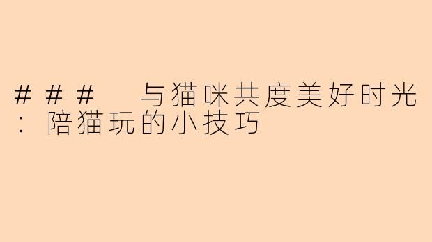 ### 与猫咪共度美好时光：陪猫玩的小技巧