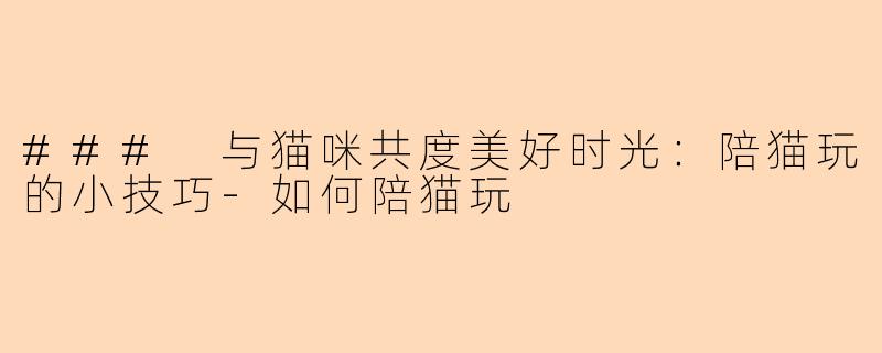 ### 与猫咪共度美好时光：陪猫玩的小技巧-如何陪猫玩
