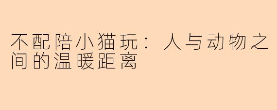 不配陪小猫玩：人与动物之间的温暖距离