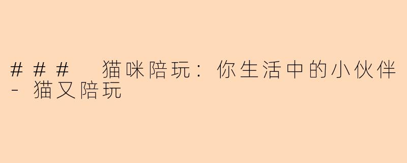 ### 猫咪陪玩:你生活中的小伙伴-猫又陪玩