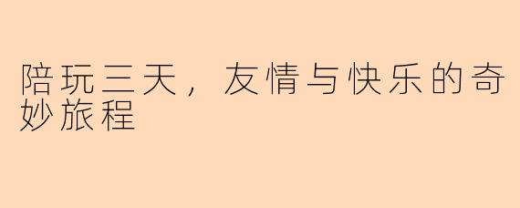 陪玩三天，友情与快乐的奇妙旅程