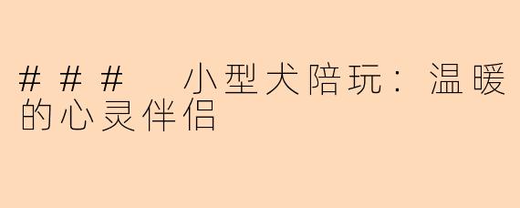### 小型犬陪玩：温暖的心灵伴侣