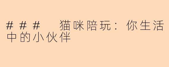 ### 猫咪陪玩:你生活中的小伙伴