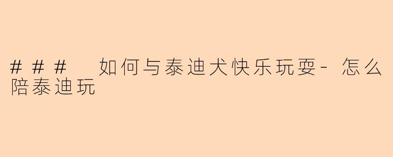 ### 如何与泰迪犬快乐玩耍-怎么陪泰迪玩