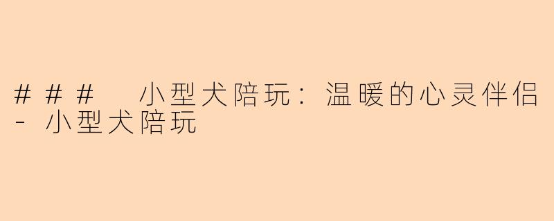 ### 小型犬陪玩：温暖的心灵伴侣-小型犬陪玩