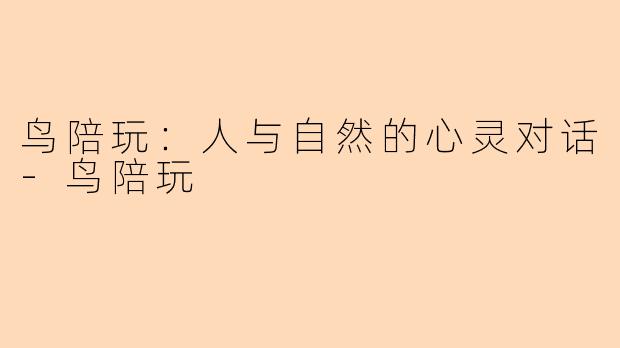 鸟陪玩：人与自然的心灵对话-鸟陪玩