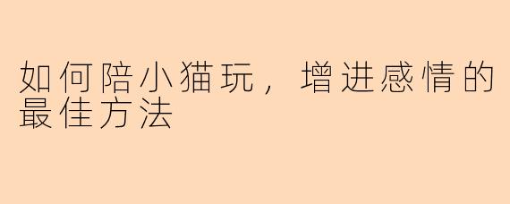 如何陪小猫玩，增进感情的最佳方法