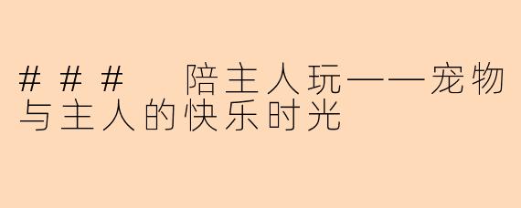 ### 陪主人玩——宠物与主人的快乐时光