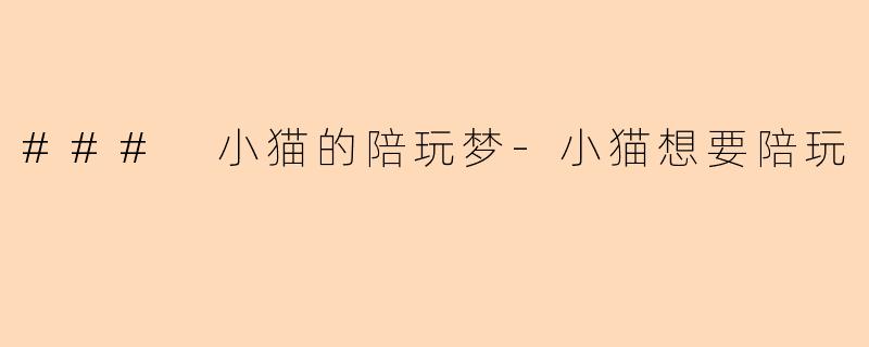 ### 小猫的陪玩梦-小猫想要陪玩