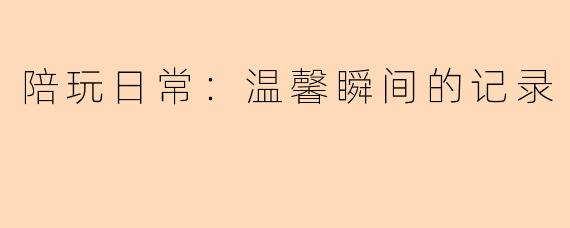 陪玩日常：温馨瞬间的记录