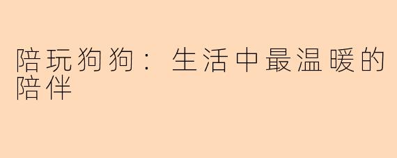 陪玩狗狗：生活中最温暖的陪伴